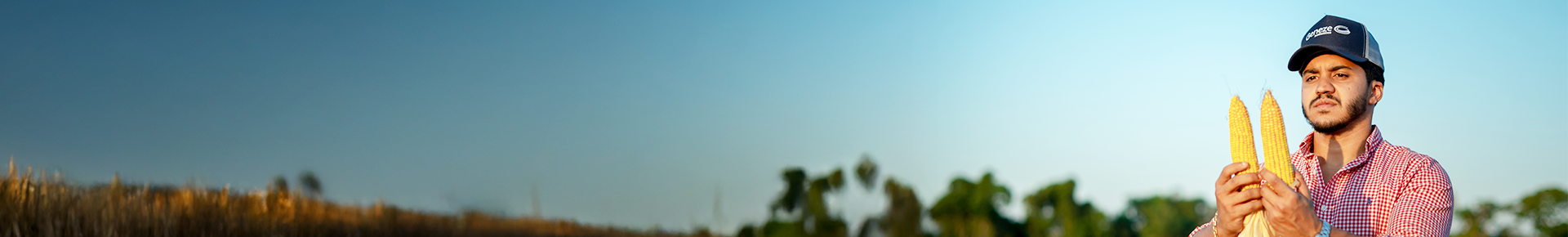 produto-lavoura-milho-genezesementes